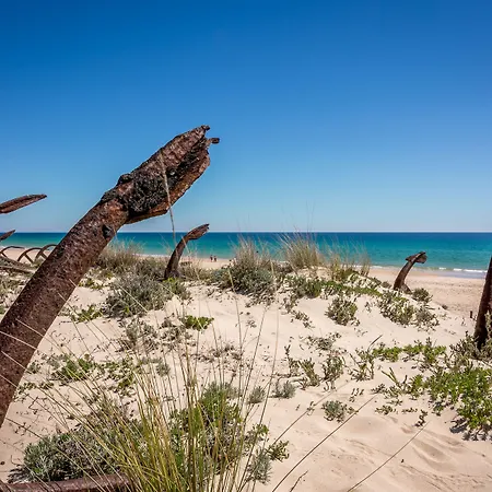 Feriested Pedras Da Rainha 3*