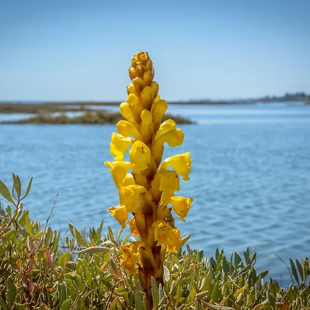 Pedras Da Rainha Cabanas De Tavira