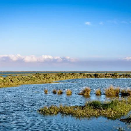 Pedras Da Rainha Semesteranläggning (resort) 3*